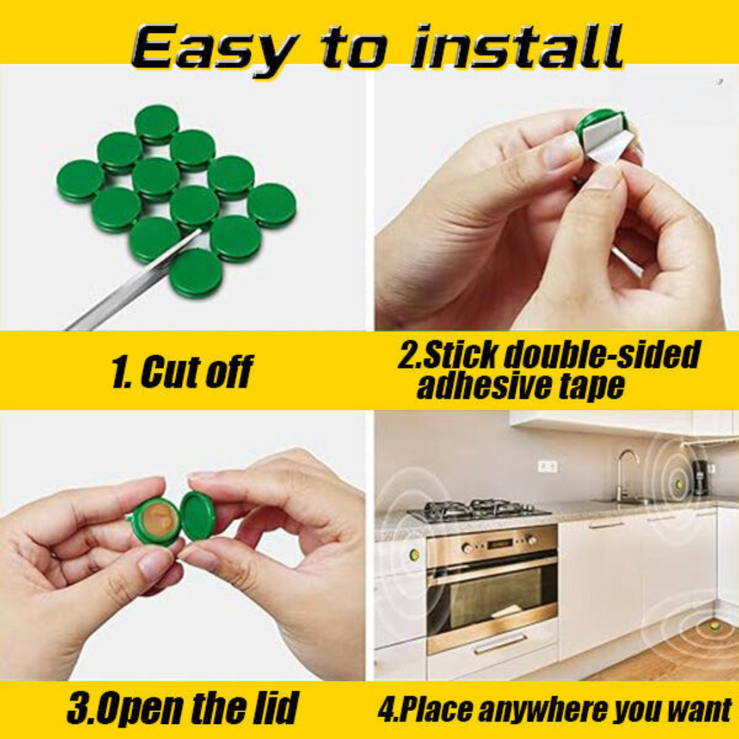 Nástrahová stanica na šváby